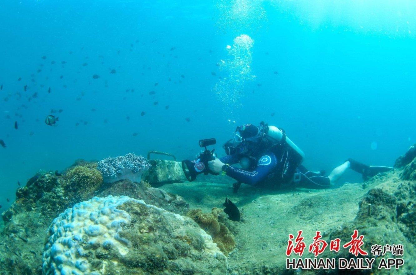 脑洞小老弟无实名认证