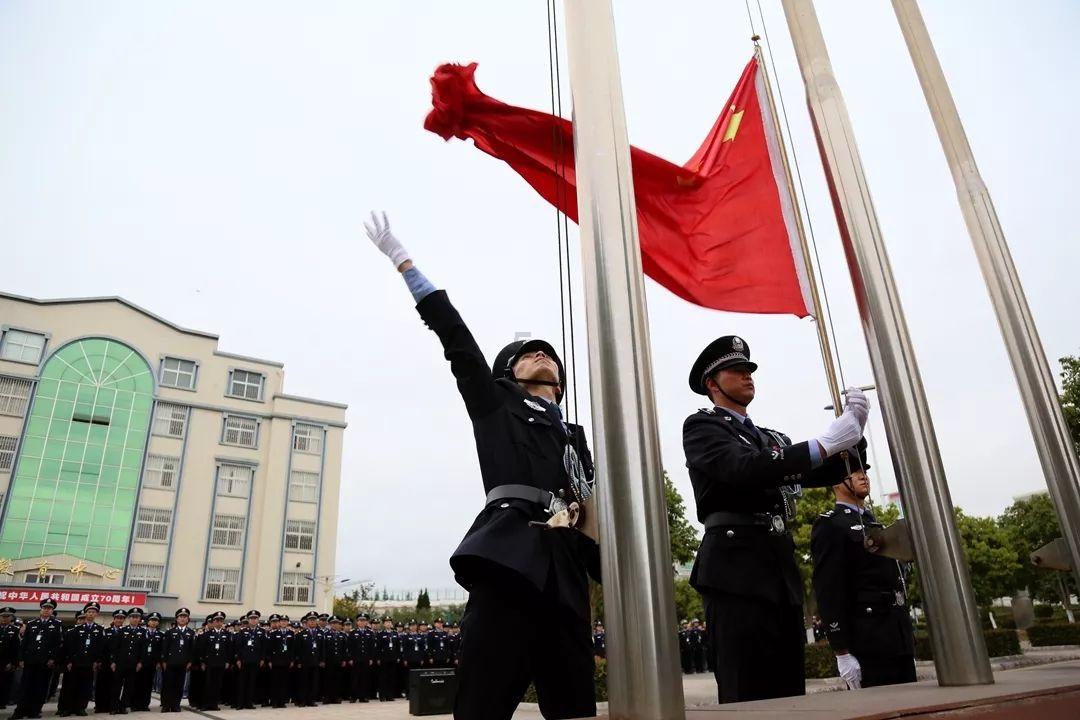 沙发坐垫通常有哪些填充物？游戏画面