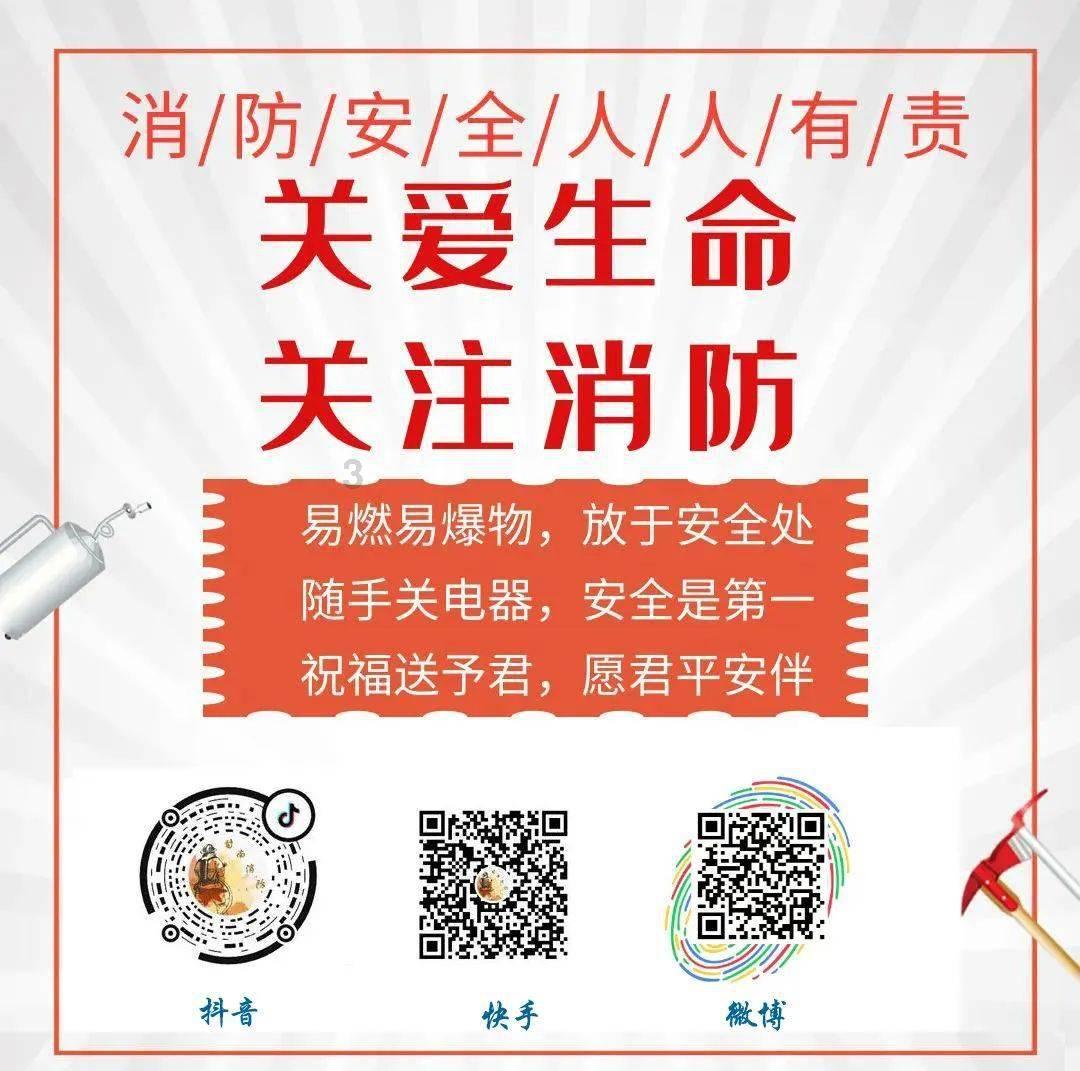 看门狗2