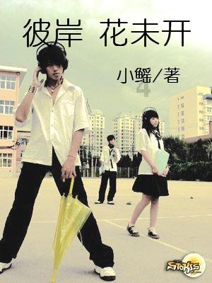 狂暴重装机甲2